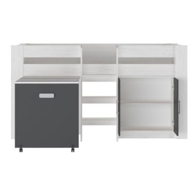 Cama Alta Juvenil con Escritorio y Armario Inferior 208,6 × 115,1 × 110,6 cm Color Blanco y Grafito