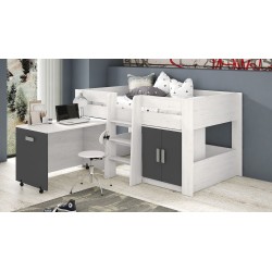 Cama Alta Juvenil con Escritorio y Armario Inferior 208,6 × 115,1 × 110,6 cm Color Blanco y Grafito