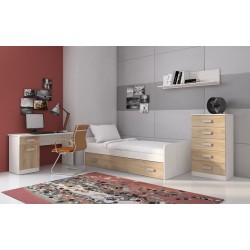 Mesa de Estudio, Escritorio con 2 Cajones, Mesa de Ordenador, Acabado en Color Blanco y Natural 70.8 x 120 x 49.8 cm