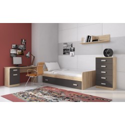 Mesa de Estudio, Escritorio con 2 Cajones, Mesa de Ordenador, Acabado en Color Grafito y Cambrian 70.8 x 120 x 49.8 cm