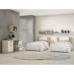 Mesa de Estudio, Escritorio con 2 Cajones, Mesa de Ordenador, Acabado en Color Blanco y Cambrian 70.8 x 120 x 49.8 cm