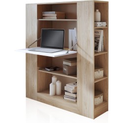 Estantería con Escritorio, Acabado en Cambrian y Blanco, Medidas: 119,6 cm (Largo) x 139,6 cm (Alto) x 34,5 Cm