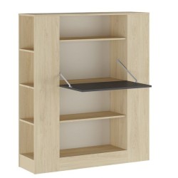 Estantería con Escritorio, Acabado en Cambrian y Grafito, Medidas: 119,6 cm (Largo) x 139,6 cm (Alto) x 34,5 Cm