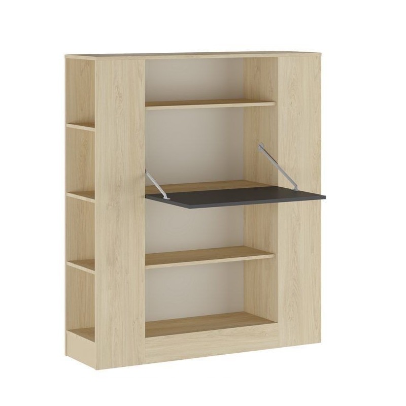 Estantería con Escritorio, Acabado en Cambrian y Grafito, Medidas: 119,6 cm (Largo) x 139,6 cm (Alto) x 34,5 Cm