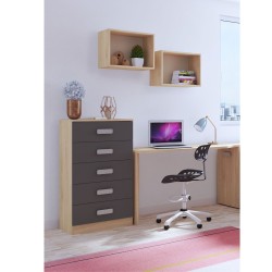 Sinfonier 5 Cajones, Cómoda, Acabado en Cambrian y Grafito, Medidas: 60 cm (An) x 108,5 cm (Al) x 38 cm de (Fon)