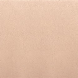 Pack de 6 Sillas Tapizadas para Salón y Comedor – Acabado Beige en Aluminio, Medidas: 43 cm x 48 cm x 99,5 cm