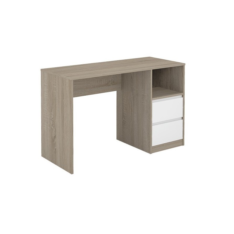Escritorio de Oficina con 2 Cajones y 1 Estante, MDF Roble y Blanco, 120x50x75 cm - Moderno y Funcional