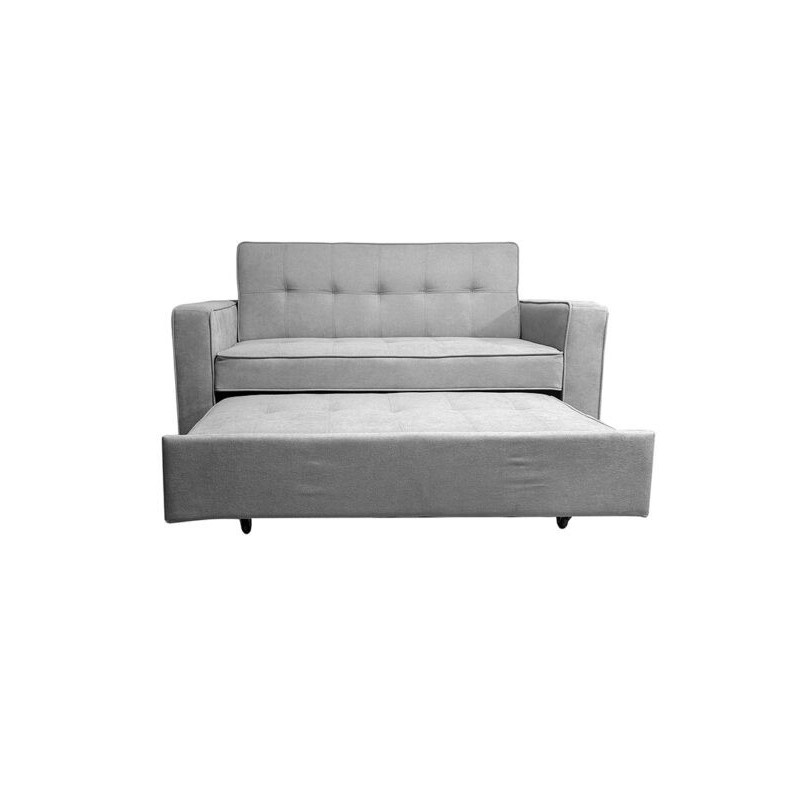 Sofá Cama 2 Plazas con Reposabrazos, Diseño Moderno y Elegante, Color Gris, 167x90x96,5 cm
