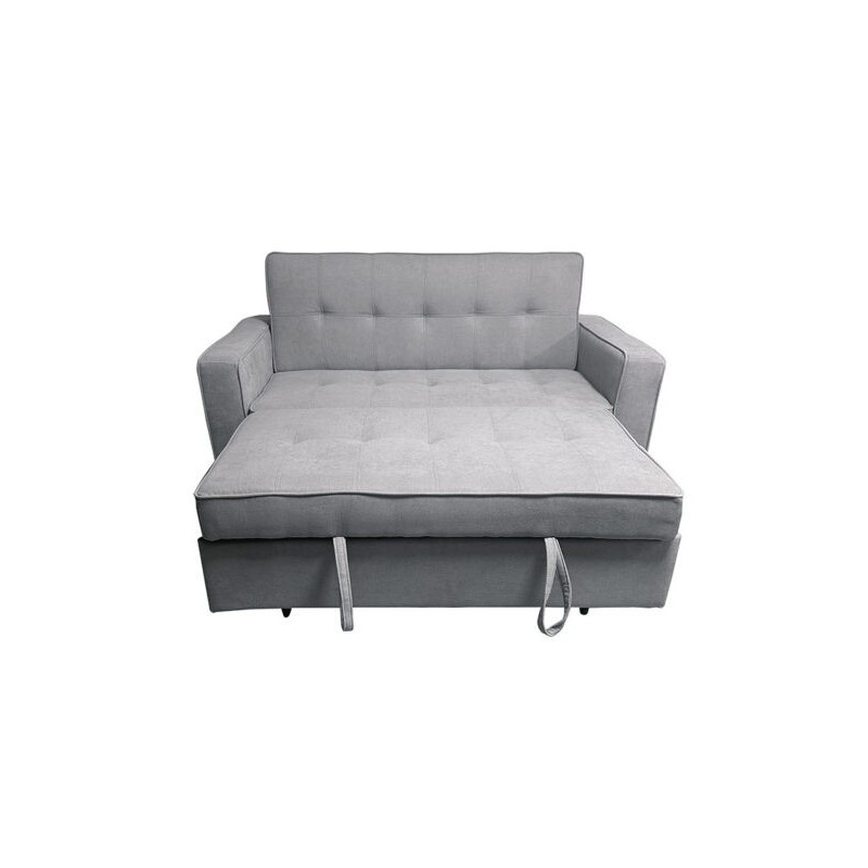 Sofá Cama 2 Plazas con Reposabrazos, Diseño Moderno y Elegante, Color Gris, 167x90x96,5 cm